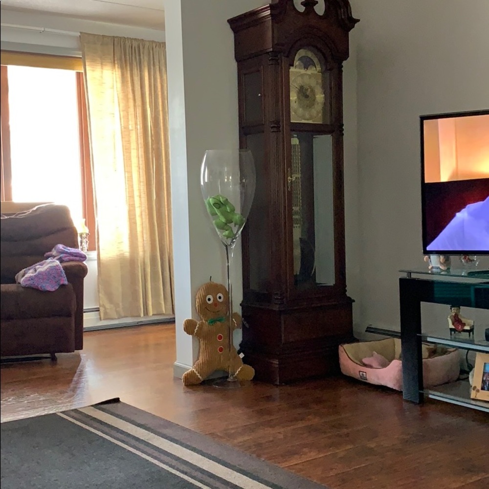 Meet your Posher, Patricia